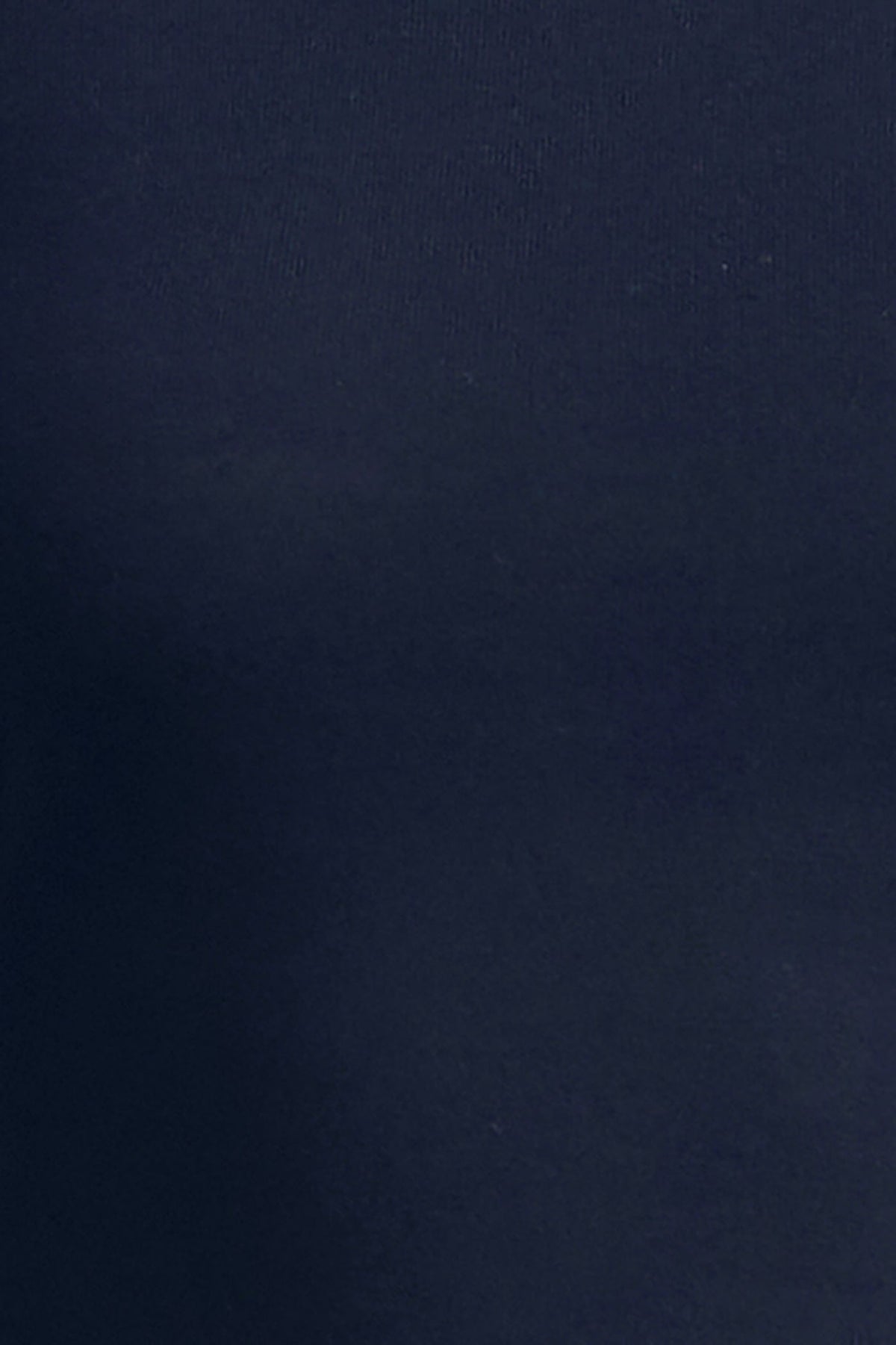 BCBGMAXAZRIA Ivy Turtleneck Dark Sapphire