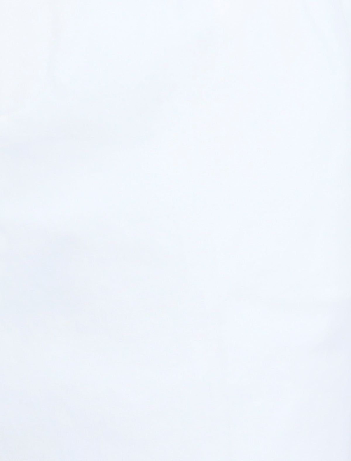 BCBGMAXAZRIA High Waist Cropped Pant Chalk