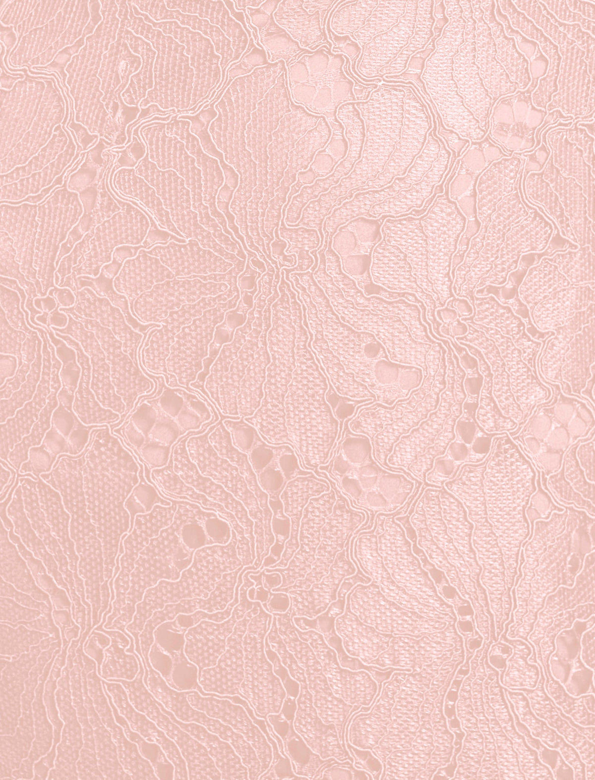 BCBGMAXAZRIA Lace Strapless V Neckline Gown Blossom